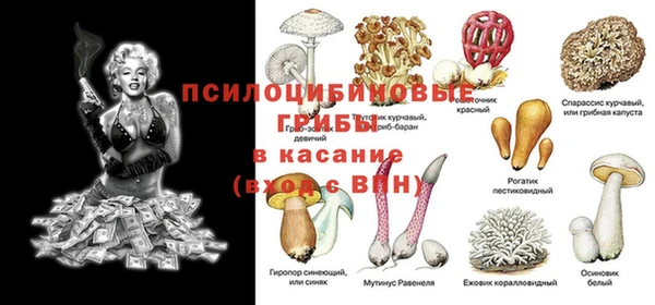 2c-b Белоозёрский