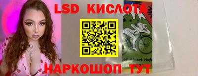 стаф Кингисепп