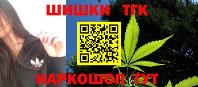 стаф Кингисепп