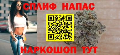 стаф Кингисепп