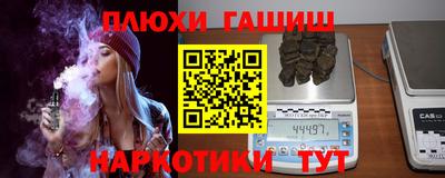 стаф Кингисепп