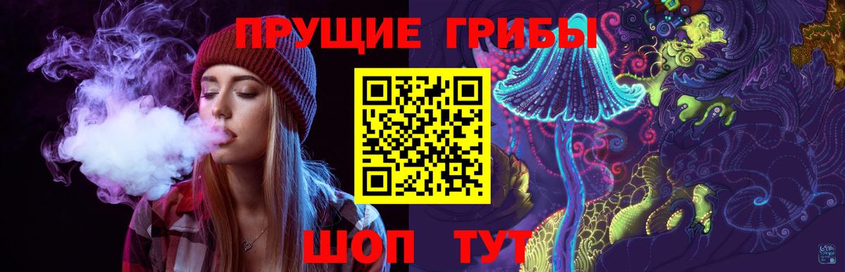 Галлюциногенные грибы мицелий  Вход с VPN  Кузнецк  Псилоцибиновые грибы Psilocybine cubensis 