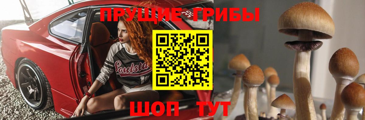Псилоцибиновые грибы Psilocybine cubensis Кузнецк